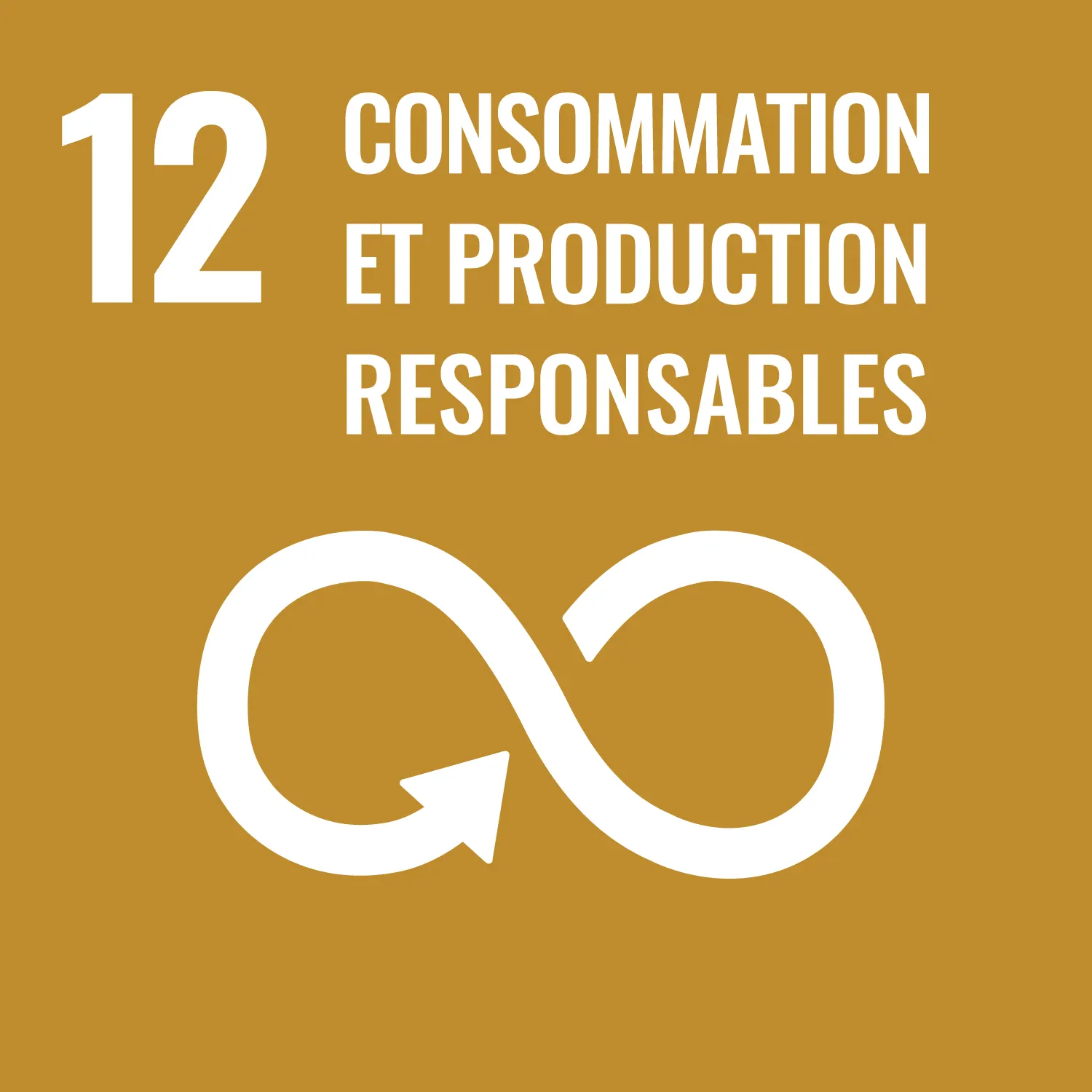SDG 12 - Responsible Consumption and Production
