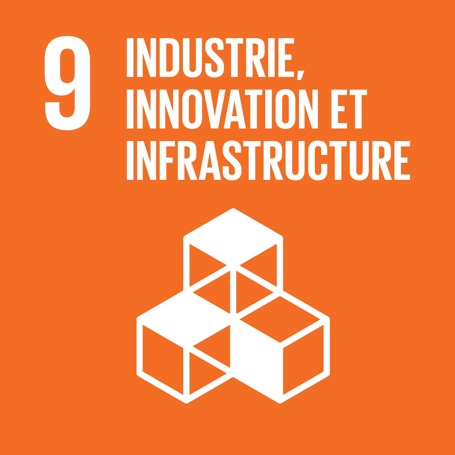 SDG 9 - Industry, Innovation and Infrastructure